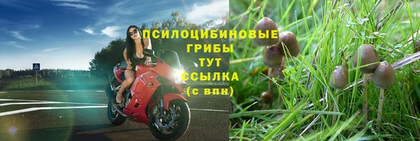 крисы Наволоки