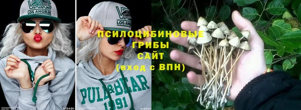 крисы Наволоки