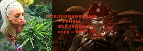 крисы Наволоки
