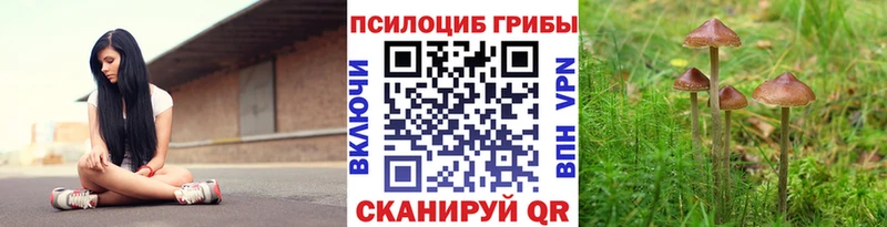 Псилоцибиновые грибы Psilocybe omg ссылка Дубовка
